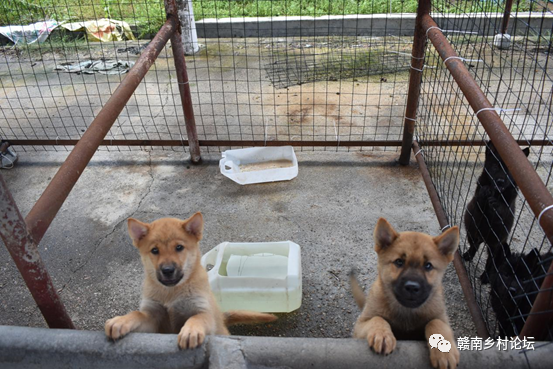 梓山万亩富硒蔬菜基地（梓山蔬菜基地门票多少）-硒宝网