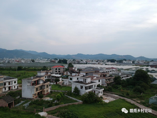 梓山万亩富硒蔬菜基地（梓山蔬菜基地门票多少）-硒宝网