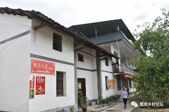 梓山万亩富硒蔬菜基地（梓山蔬菜基地门票多少）-硒宝网