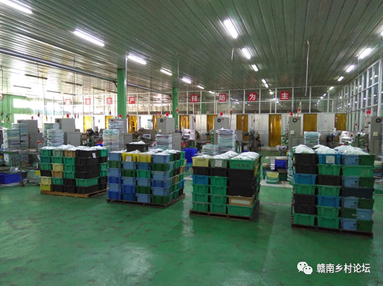 梓山万亩富硒蔬菜基地（梓山蔬菜基地门票多少）-硒宝网