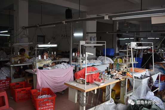 梓山万亩富硒蔬菜基地（梓山蔬菜基地门票多少）-硒宝网