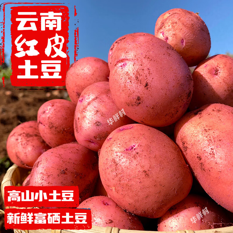 富硒蔬菜市场价值多少(富硒蔬菜多少钱一斤)-硒宝网