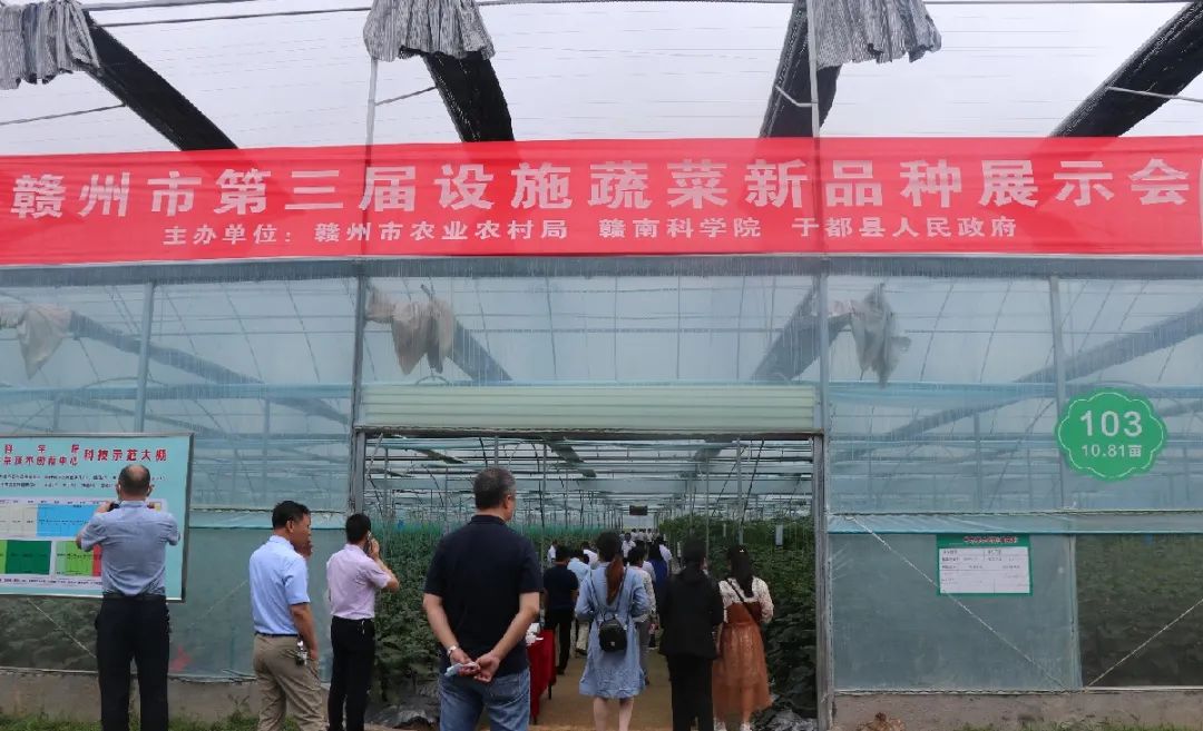 于都潭头富硒蔬菜市?。ㄓ诙几晃卟瞬翟埃?硒宝网