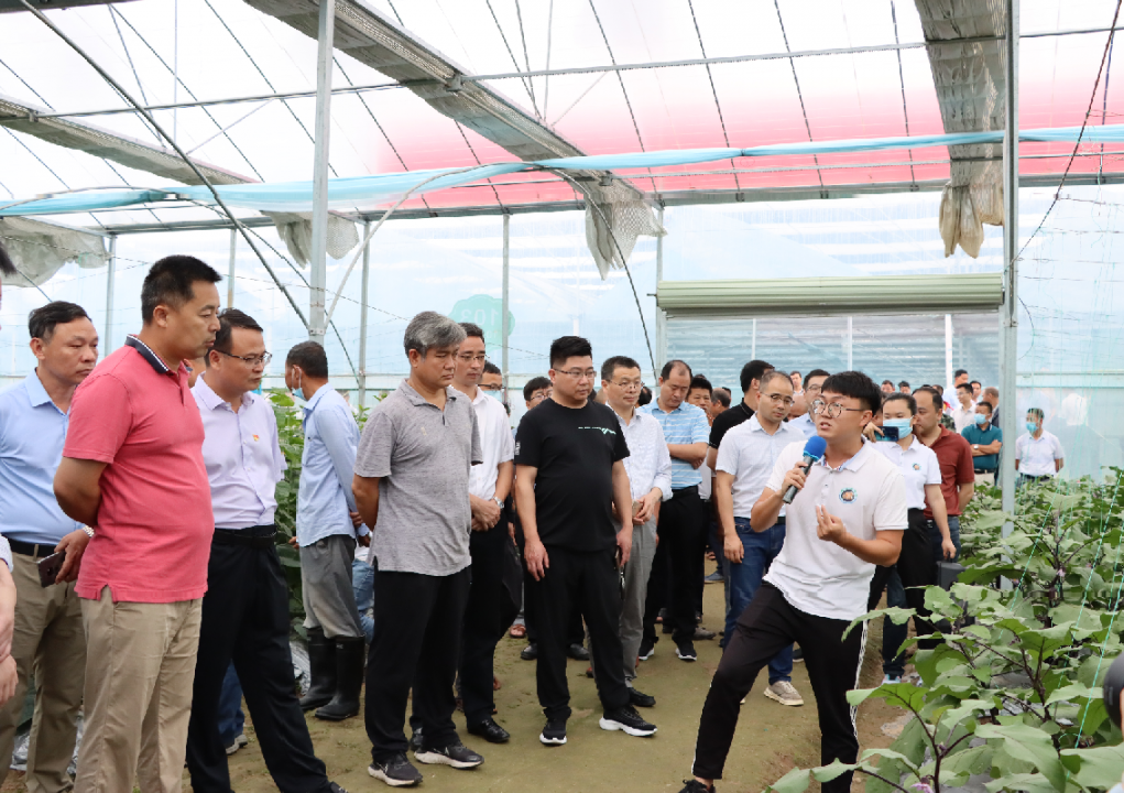 于都潭头富硒蔬菜市?。ㄓ诙几晃卟瞬翟埃?硒宝网