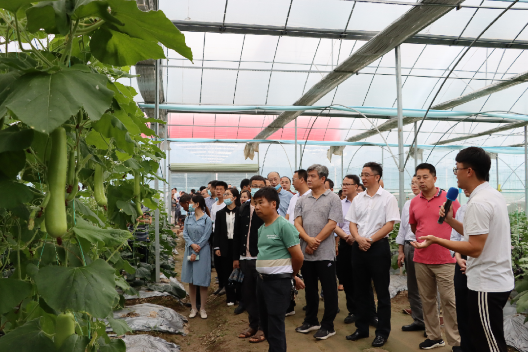 于都潭头富硒蔬菜市场（于都富硒蔬菜产业园）-硒宝网