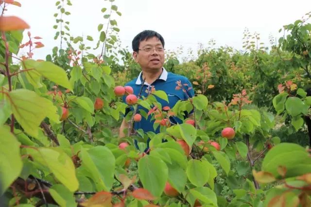 如何种出富硒蔬菜种子(富硒蔬菜种植技术)-硒宝网