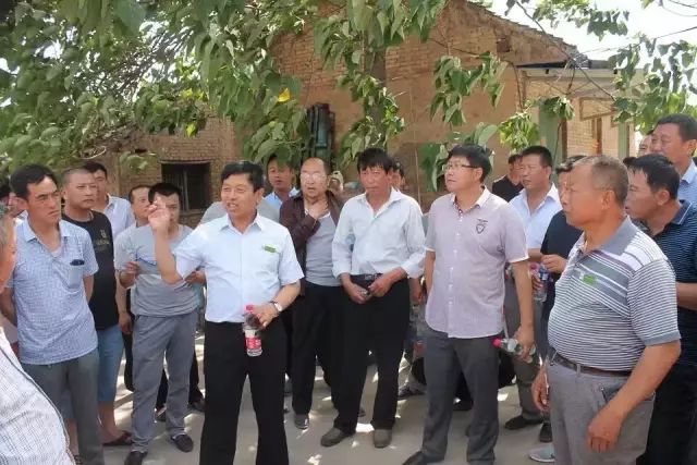 如何种出富硒蔬菜种子(富硒蔬菜种植技术)-硒宝网