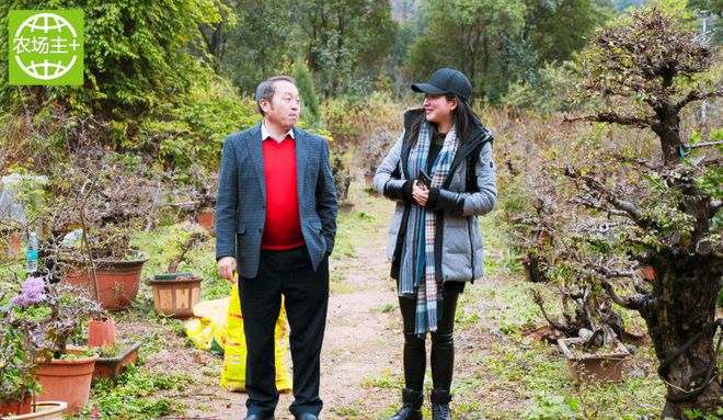 如何种出富硒蔬菜种子（蔬菜种子种富硒出苗多少天）-硒宝网