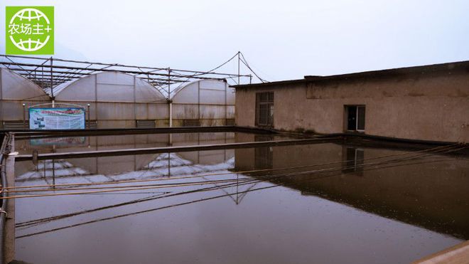 如何种出富硒蔬菜种子（蔬菜种子种富硒出苗多少天）-硒宝网