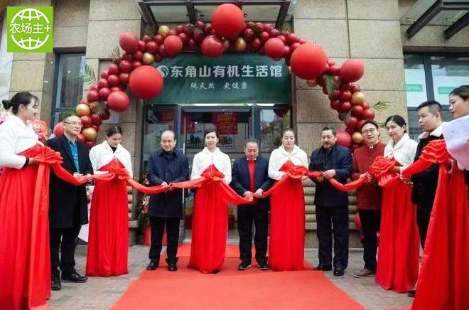 如何种出富硒蔬菜种子（蔬菜种子种富硒出苗多少天）-硒宝网