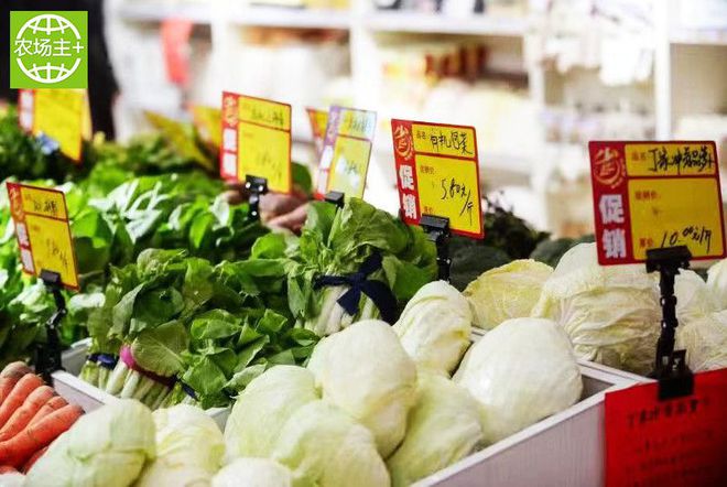 如何种出富硒蔬菜种子（蔬菜种子种富硒出苗多少天）-硒宝网