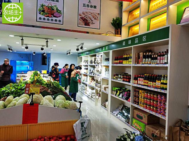 如何种出富硒蔬菜种子（蔬菜种子种富硒出苗多少天）-硒宝网