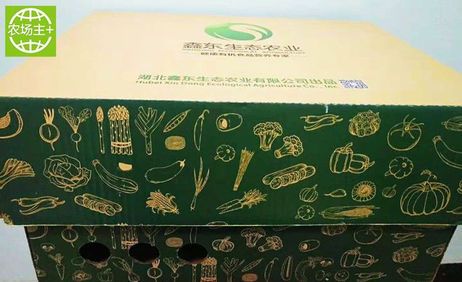 如何种出富硒蔬菜种子（蔬菜种子种富硒出苗多少天）-硒宝网