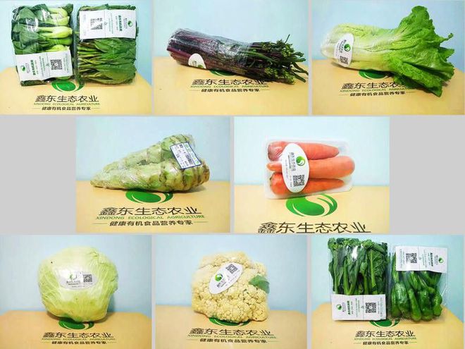 如何种出富硒蔬菜种子（蔬菜种子种富硒出苗多少天）-硒宝网