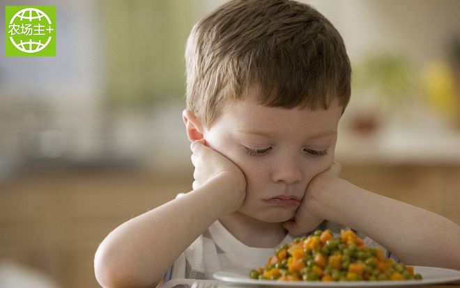 如何种出富硒蔬菜种子（蔬菜种子种富硒出苗多少天）-硒宝网