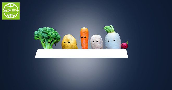 如何种出富硒蔬菜种子（蔬菜种子种富硒出苗多少天）-硒宝网