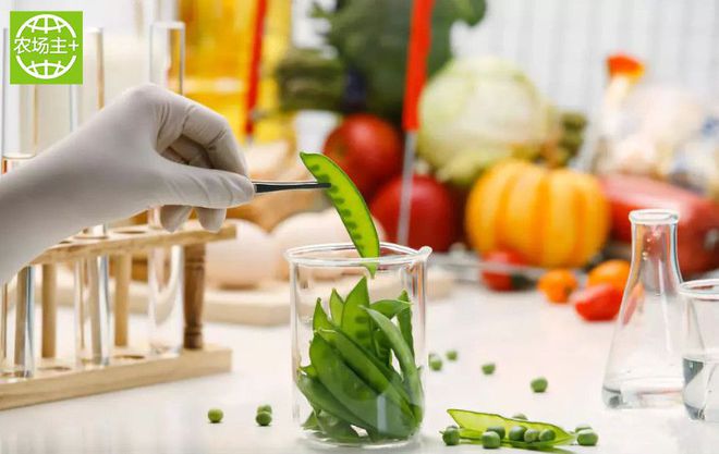 如何种出富硒蔬菜种子（蔬菜种子种富硒出苗多少天）-硒宝网