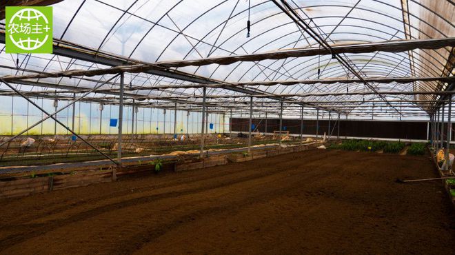 如何种出富硒蔬菜种子（蔬菜种子种富硒出苗多少天）-硒宝网