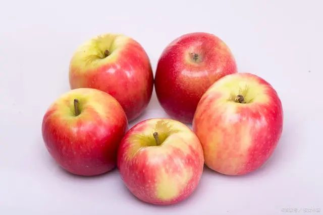 孕妇补铁的食物(孕妇食物补铁吃什么好)-硒宝网