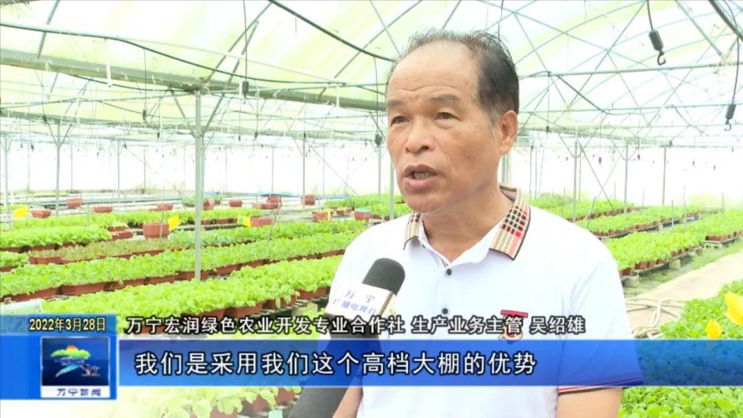 富硒有机蔬菜市场价格(万亩富硒蔬菜基地)-硒宝网