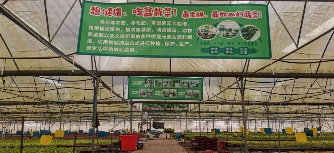 富硒有机蔬菜市场价格(万亩富硒蔬菜基地)-硒宝网