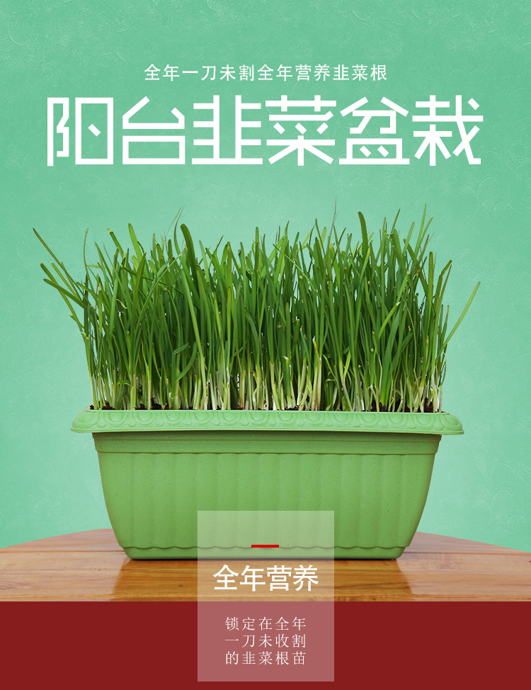 如何种出富硒蔬菜种子(蔬菜种子种富硒出苗率多少)-硒宝网