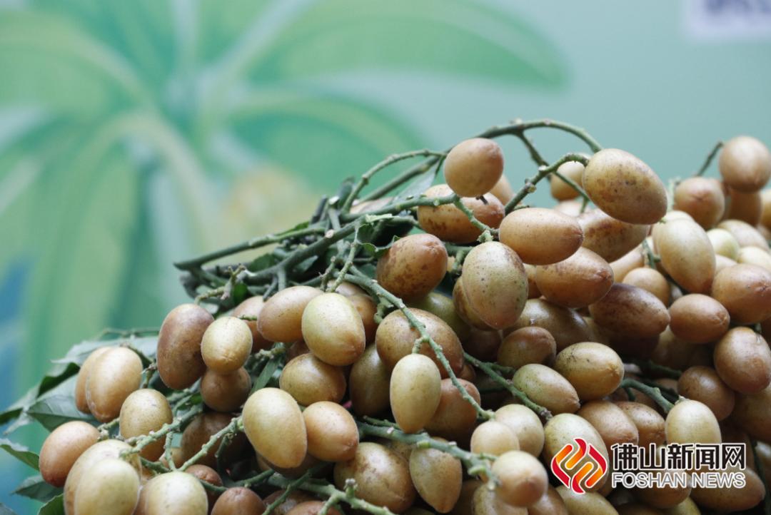 富硒水果   采摘节（富硒水果的标准是多少）-硒宝网