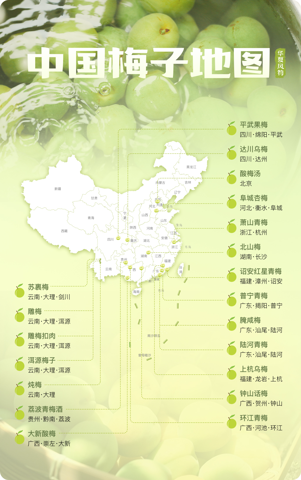 富硒青梅水果长什么样（青梅果对人身体好不好）-硒宝网