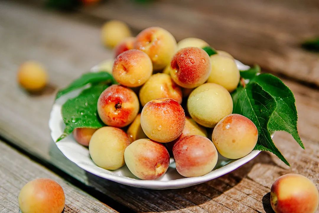 富硒青梅水果长什么样（青梅果对人身体好不好）-硒宝网