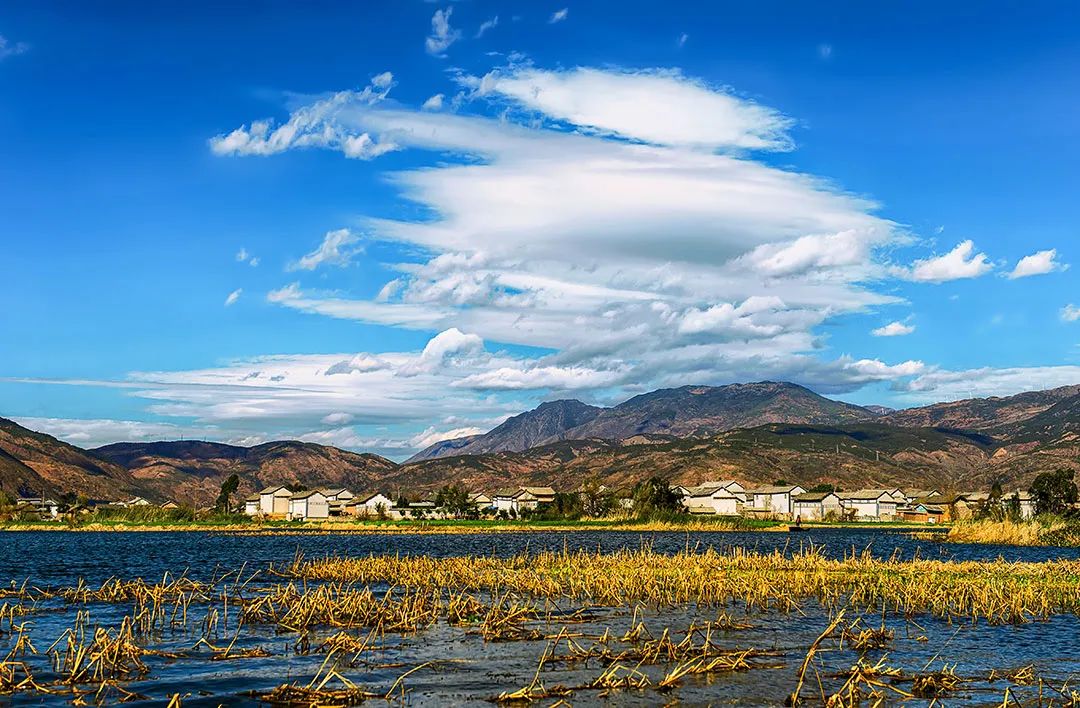 富硒青梅水果长什么样（青梅果对人身体好不好）-硒宝网