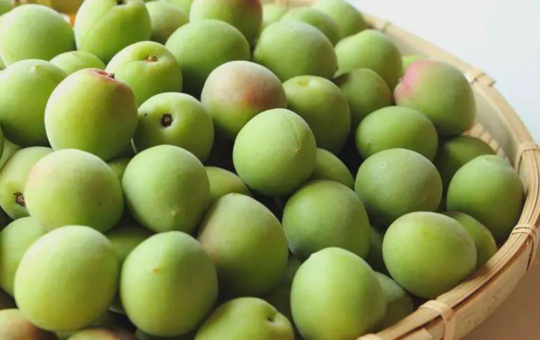 富硒青梅水果长什么样（青梅果对人身体好不好）-硒宝网