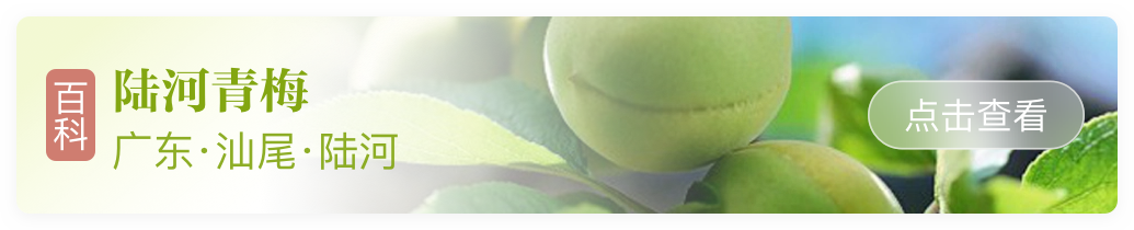 富硒青梅水果长什么样（青梅果对人身体好不好）-硒宝网