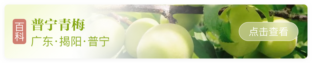 富硒青梅水果长什么样（青梅果对人身体好不好）-硒宝网