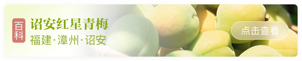 富硒青梅水果长什么样（青梅果对人身体好不好）-硒宝网