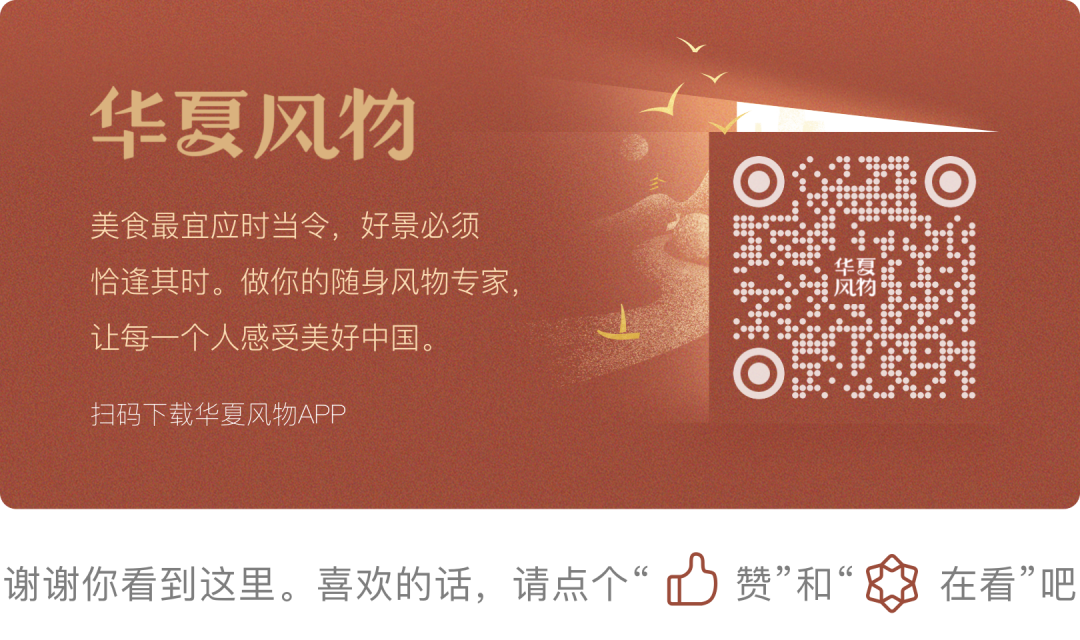 富硒青梅水果长什么样（青梅果对人身体好不好）-硒宝网