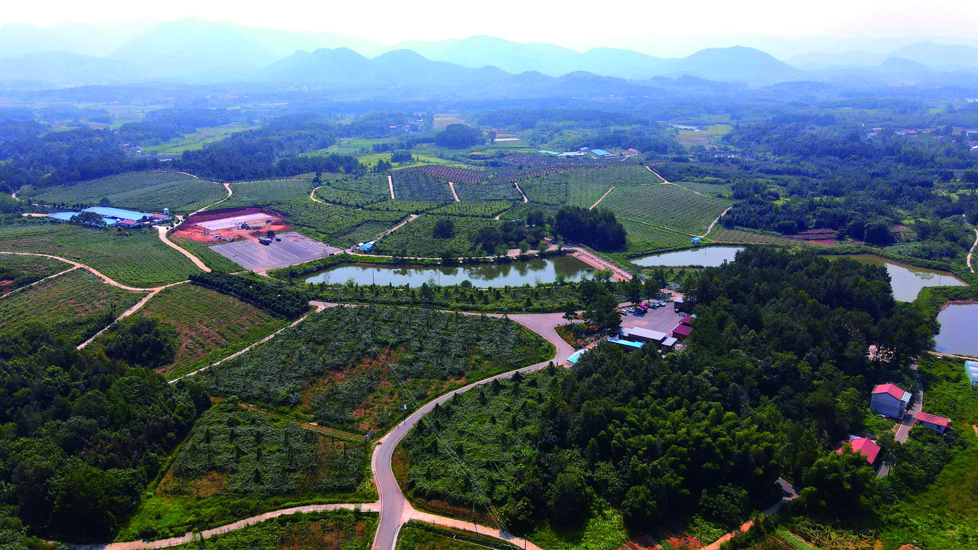 富硒水果 采摘节(富硒的水果蔬菜有哪些)-硒宝网