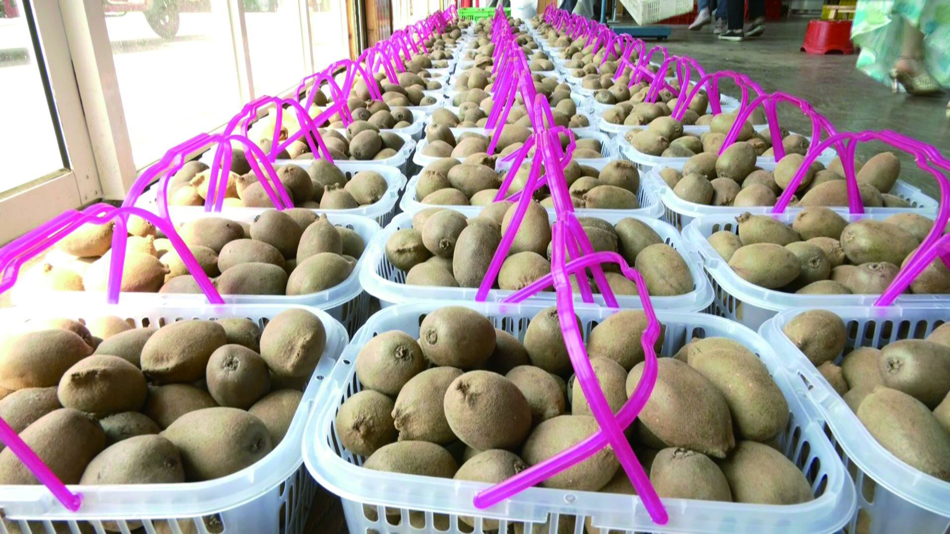 富硒水果 采摘节(富硒的水果蔬菜有哪些)-硒宝网