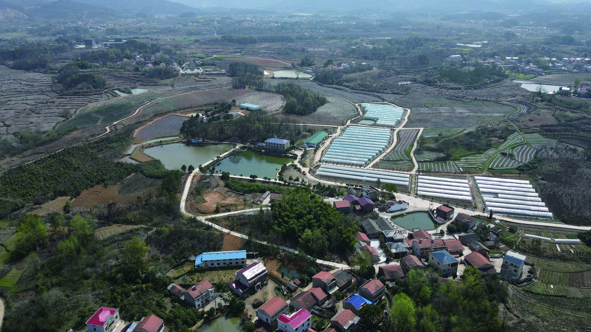 富硒水果 采摘节(富硒的水果蔬菜有哪些)-硒宝网