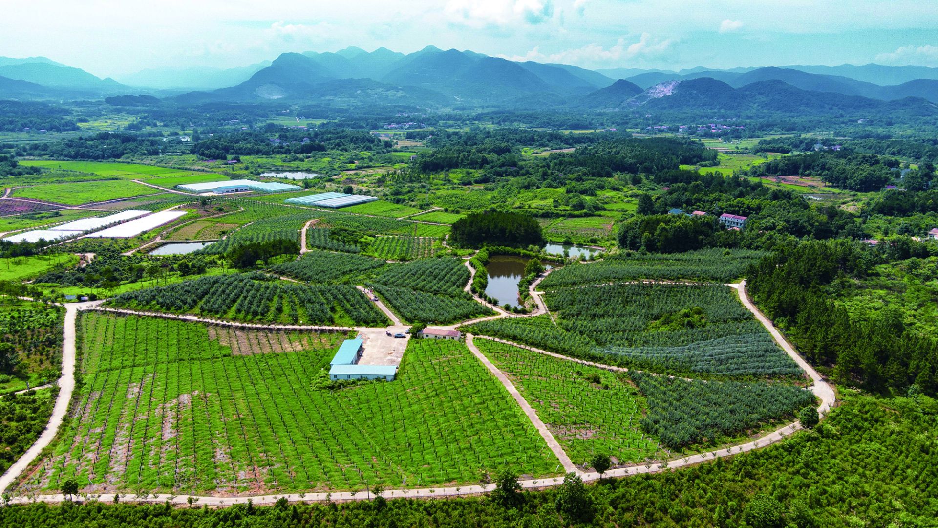 富硒水果 采摘节(富硒的水果蔬菜有哪些)-硒宝网