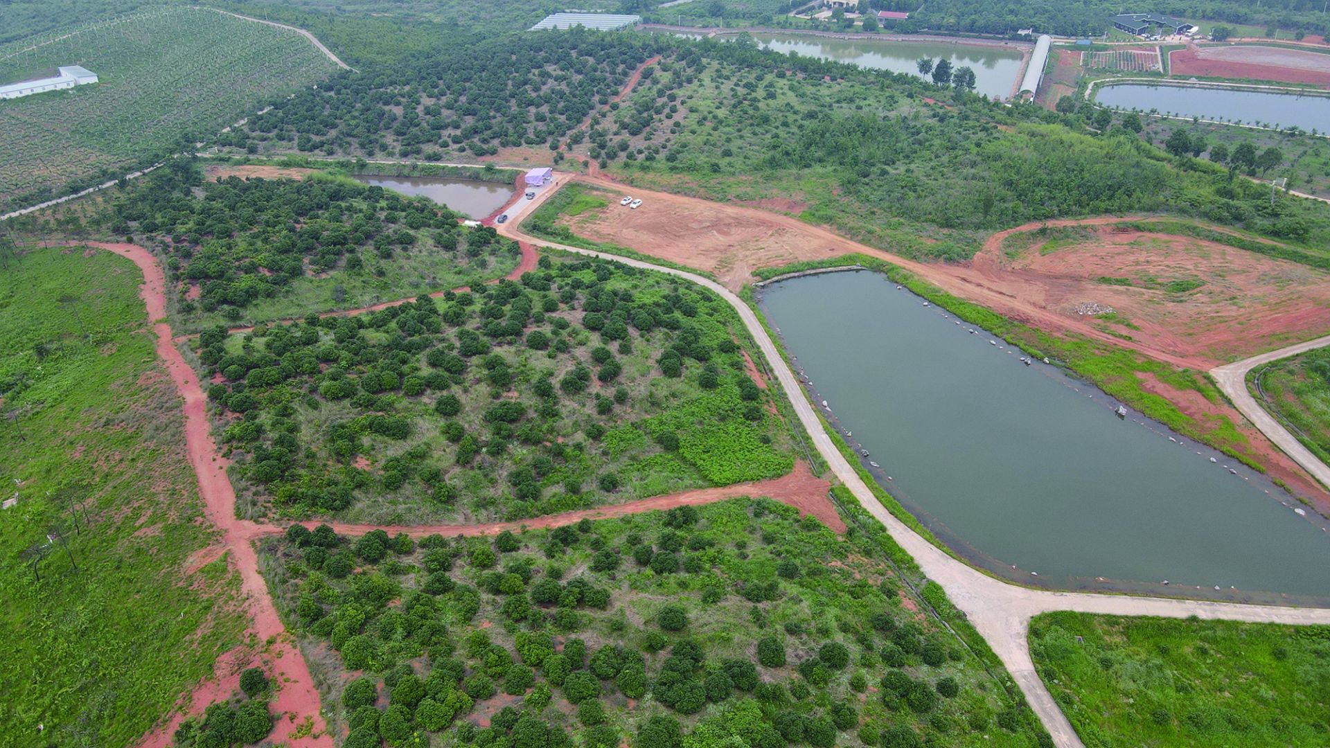富硒水果 采摘节(富硒的水果蔬菜有哪些)-硒宝网