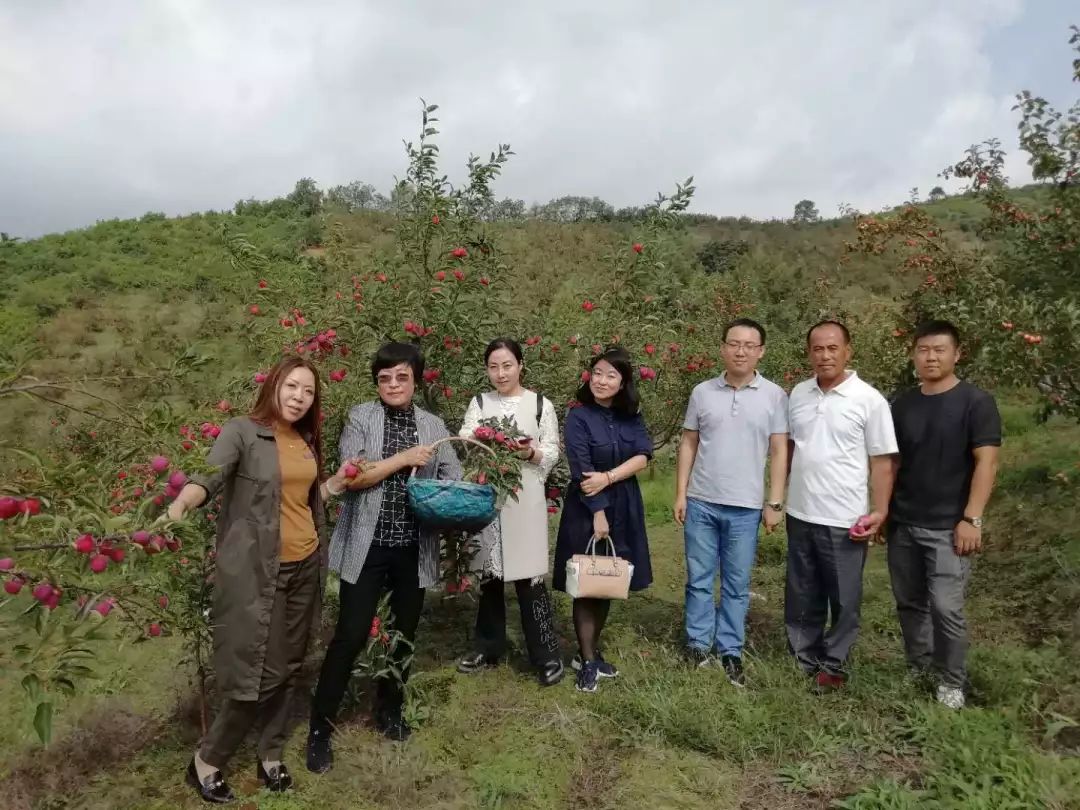 水果含硒量多少算富硒（水果算量含富硒硒元素吗）-硒宝网