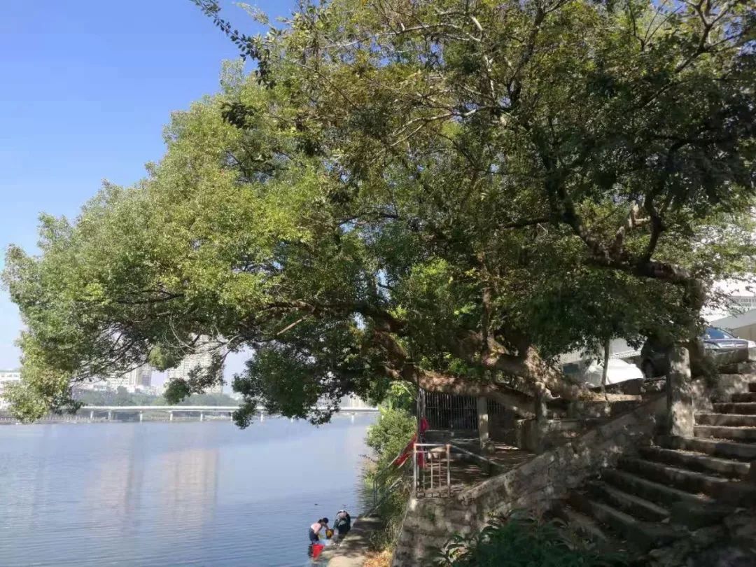 诏安富硒水果特产批发（诏安县富硒检验检疫中心）-硒宝网