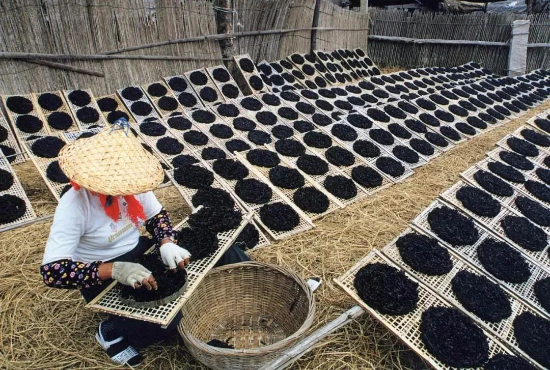 诏安富硒水果特产批发（诏安县富硒检验检疫中心）-硒宝网