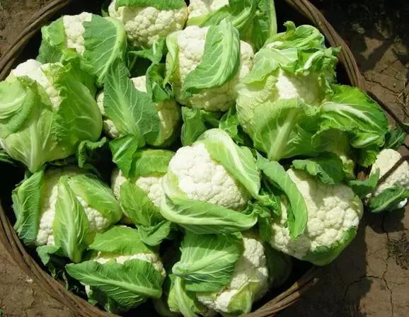 诏安富硒水果特产批发（诏安县富硒检验检疫中心）-硒宝网