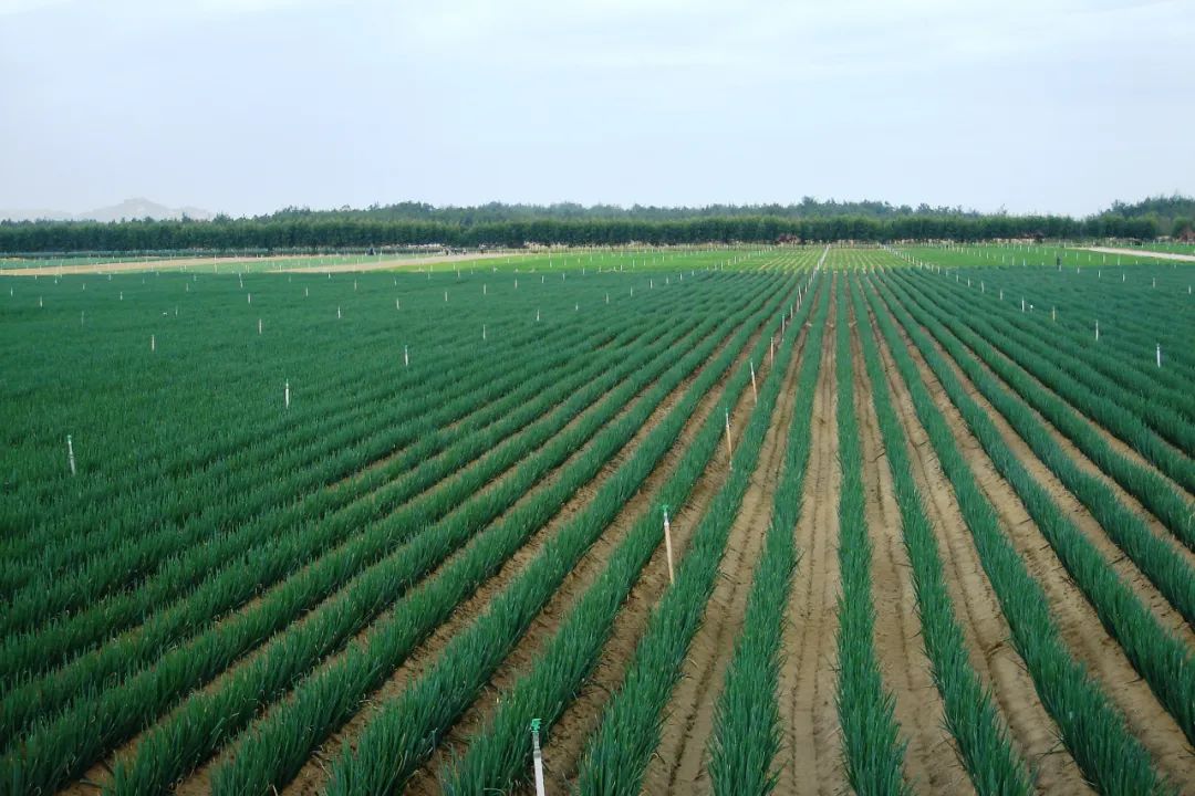 诏安富硒水果特产批发（诏安县富硒检验检疫中心）-硒宝网