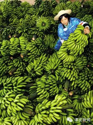 诏安富硒水果特产批发（诏安县富硒检验检疫中心）-硒宝网