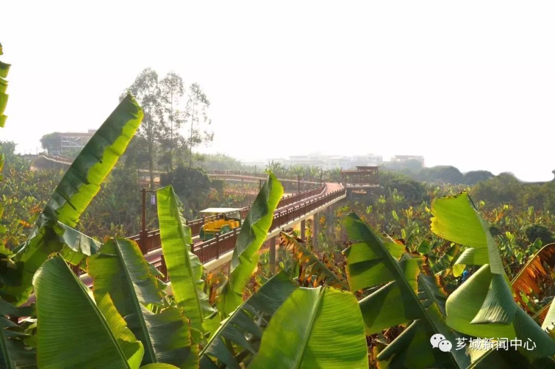 诏安富硒水果特产批发（诏安县富硒检验检疫中心）-硒宝网