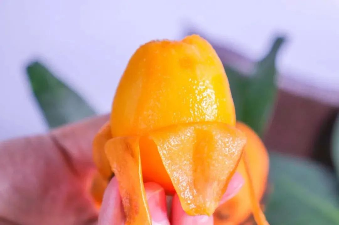 诏安富硒水果特产批发（诏安县富硒检验检疫中心）-硒宝网