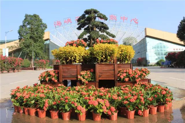 诏安富硒水果特产批发（诏安富硒检测中心）-硒宝网