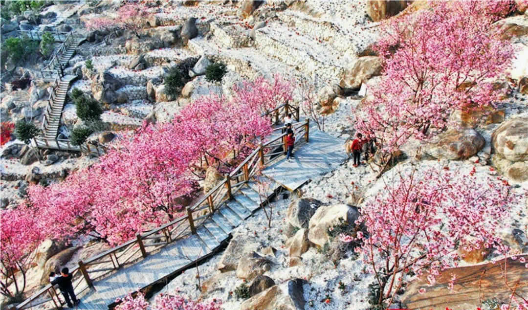 诏安富硒水果特产批发（诏安富硒检测中心）-硒宝网